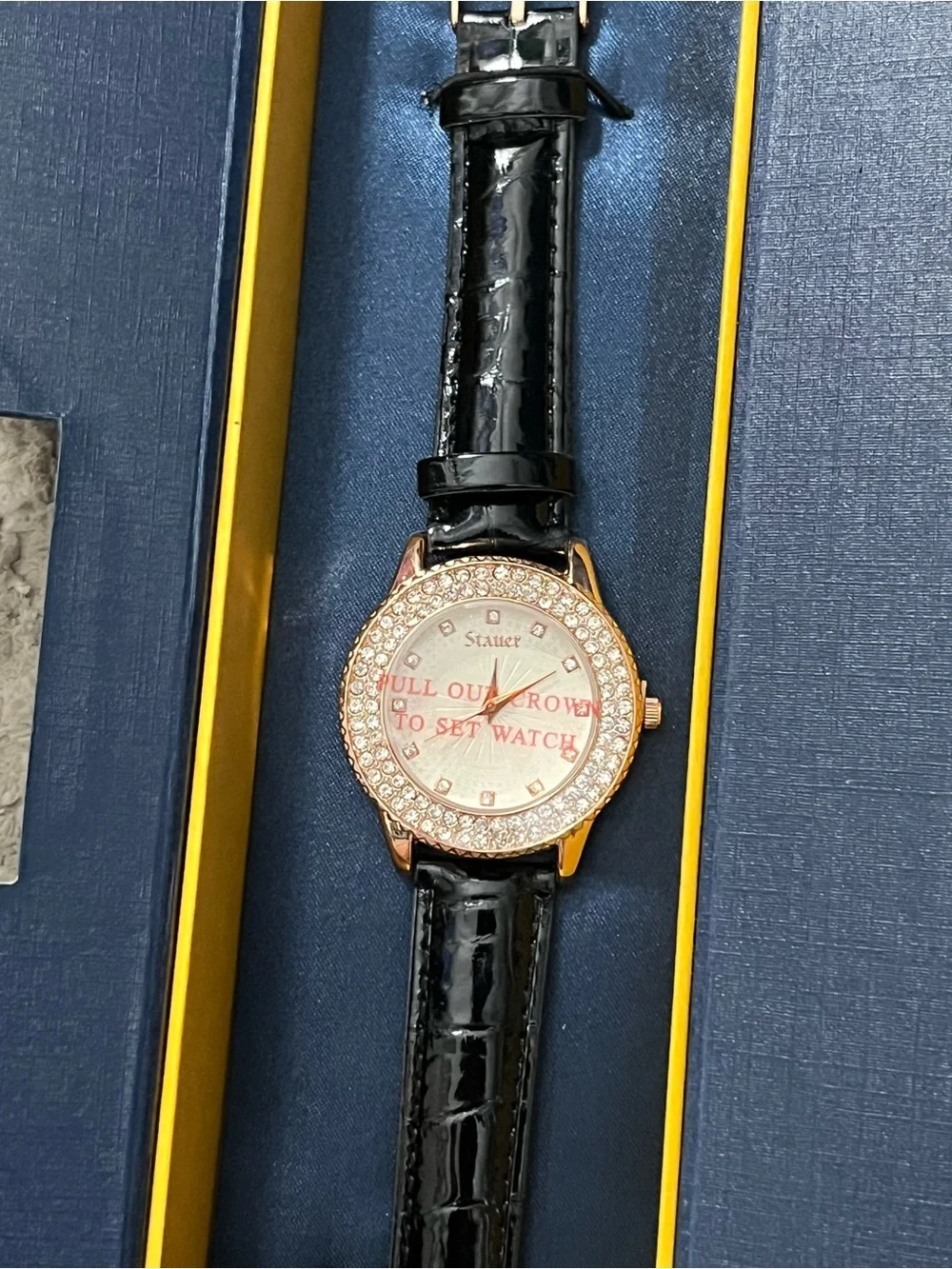 NEW Stauer Watch